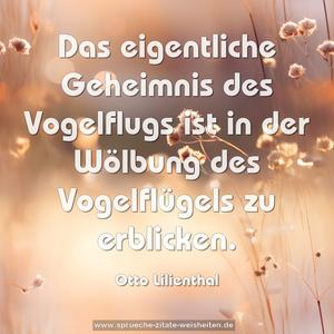 Das eigentliche Geheimnis des Vogelflugs
ist in der Wölbung des Vogelflügels zu erblicken.