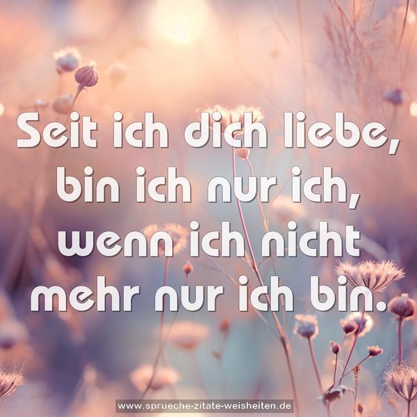 Seit ich dich liebe, bin ich nur ich, wenn ich nicht mehr nur ich bin.