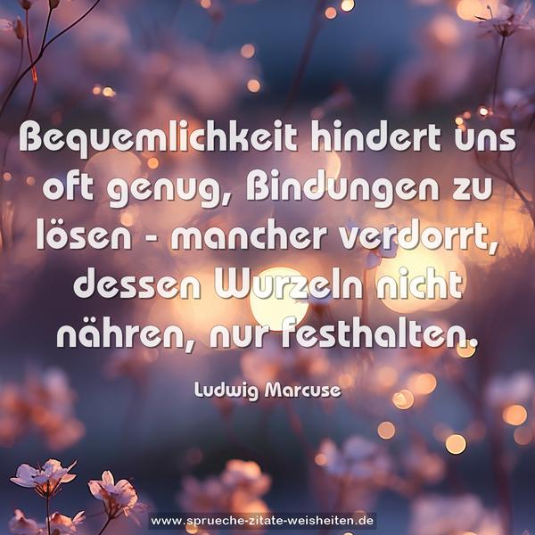 Bequemlichkeit hindert uns oft genug, Bindungen zu lösen - mancher verdorrt, dessen Wurzeln nicht nähren, nur festhalten.