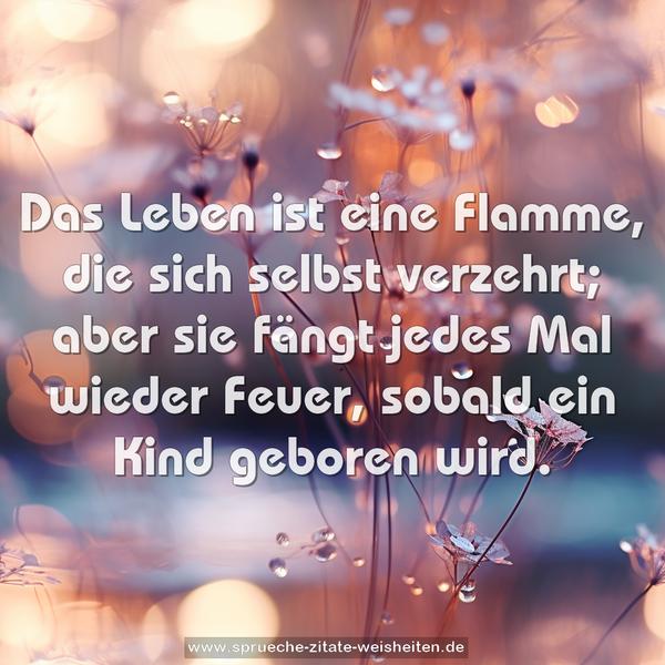 Das Leben ist eine Flamme, die sich selbst verzehrt;
aber sie fängt jedes Mal wieder Feuer,
sobald ein Kind geboren wird.
