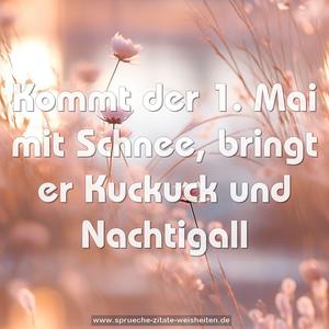 Kommt der 1. Mai mit Schnee, bringt er Kuckuck und Nachtigall