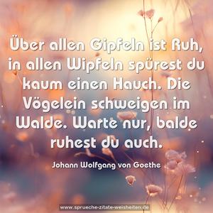 Über allen Gipfeln ist Ruh,
in allen Wipfeln spürest du
kaum einen Hauch.
Die Vögelein schweigen im Walde.
Warte nur, balde ruhest du auch.