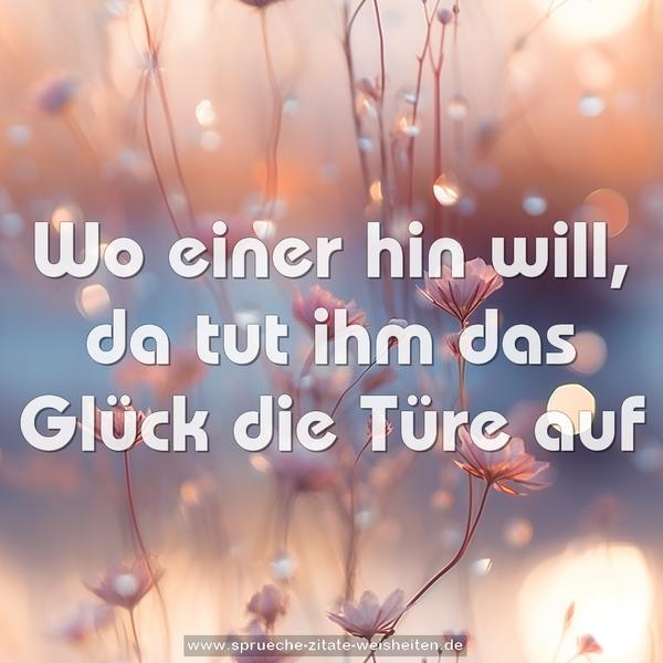 Wo einer hin will, da tut ihm das Glück die Türe auf
