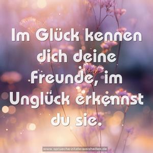 Im Glück kennen dich deine Freunde,
im Unglück erkennst du sie.