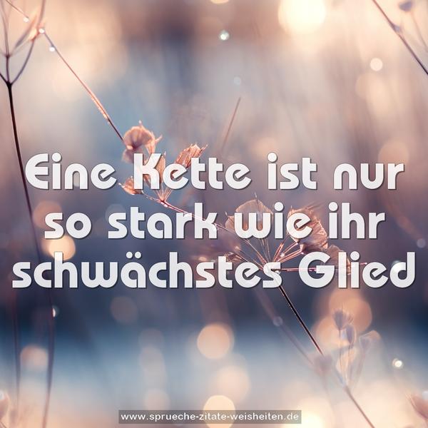 Eine Kette ist nur so stark
wie ihr schwächstes Glied