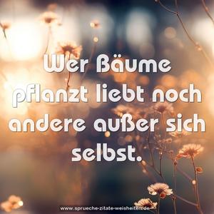 Wer Bäume pflanzt liebt noch andere außer sich selbst.