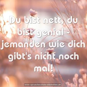 Du bist nett,
du bist genial -
jemanden wie dich
gibt's nicht noch mal!