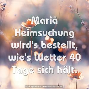Mariä Heimsuchung wird's bestellt,
wie's Wetter 40 Tage sich hält.
