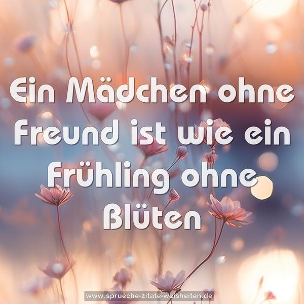 Ein Mädchen ohne Freund
ist wie ein Frühling ohne Blüten