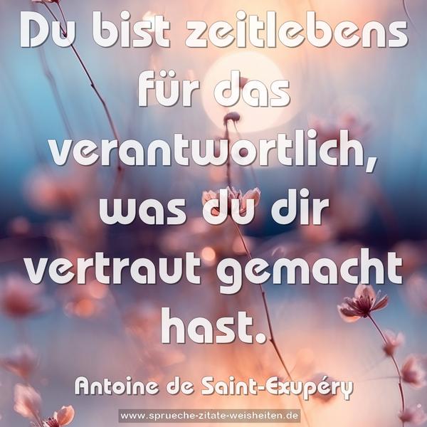 Du bist zeitlebens für das verantwortlich,
was du dir vertraut gemacht hast.