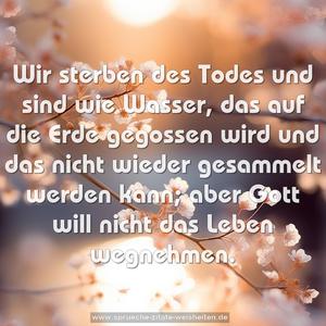 Wir sterben des Todes und sind wie Wasser,
das auf die Erde gegossen wird
und das nicht wieder gesammelt werden kann;
aber Gott will nicht das Leben wegnehmen.
