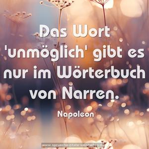 Das Wort 'unmöglich' gibt es nur im Wörterbuch von Narren.