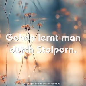 Gehen lernt man durch Stolpern.