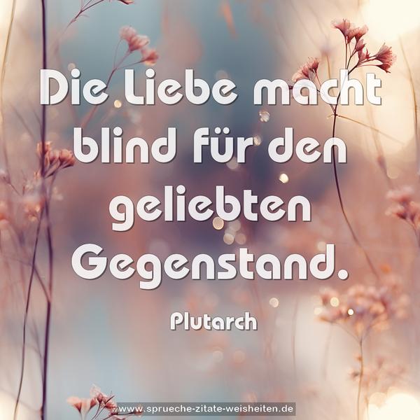 Die Liebe macht blind für den geliebten Gegenstand.