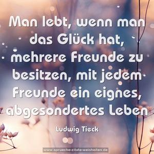 Man lebt, wenn man das Glück hat,
mehrere Freunde zu besitzen,
mit jedem Freunde ein eignes, abgesondertes Leben