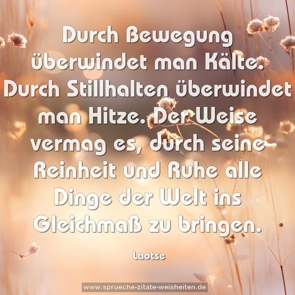 Durch Bewegung überwindet man Kälte.
Durch Stillhalten überwindet man Hitze.
Der Weise vermag es, durch seine Reinheit und Ruhe
alle Dinge der Welt ins Gleichmaß zu bringen.