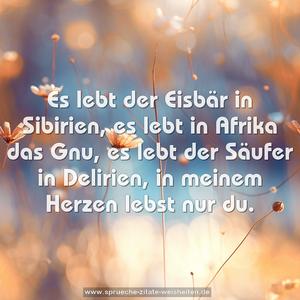 Es lebt der Eisbär in Sibirien,
es lebt in Afrika das Gnu,
es lebt der Säufer in Delirien,
in meinem Herzen lebst nur du.