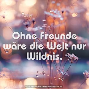 Ohne Freunde wäre die Welt nur Wildnis.