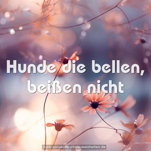 Hunde die bellen,
beißen nicht