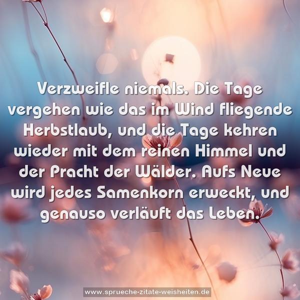 Verzweifle niemals.
Die Tage vergehen wie das im Wind fliegende Herbstlaub,
und die Tage kehren wieder mit dem reinen Himmel und der Pracht der Wälder.
Aufs Neue wird jedes Samenkorn erweckt, und genauso verläuft das Leben.