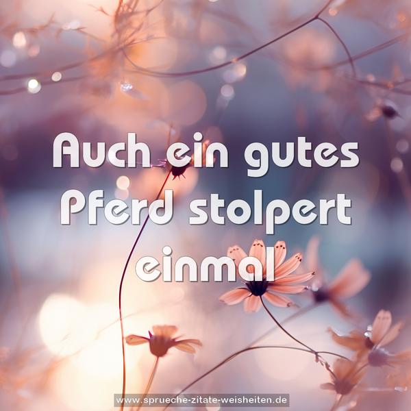Auch ein gutes Pferd stolpert einmal