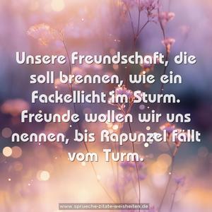 Unsere Freundschaft, die soll brennen,
wie ein Fackellicht im Sturm.
Freunde wollen wir uns nennen,
bis Rapunzel fällt vom Turm.