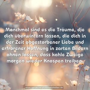 Manchmal sind es die Träume,
die dich überwintern lassen,
die dich in der Zeit abgestorbener Liebe
und erfrorener Hoffnung
in zarten Bildern ahnen lassen,
dass kahle Zweige morgen wieder Knospen treiben.