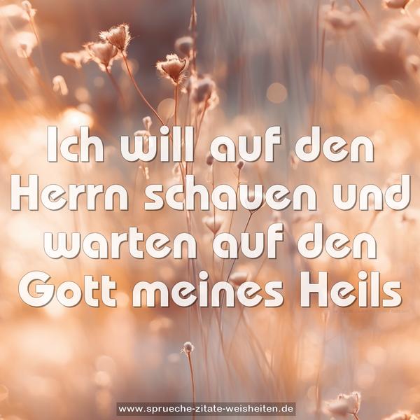 Ich will auf den Herrn schauen und warten auf den Gott meines Heils