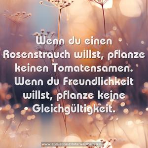 Wenn du einen Rosenstrauch willst,
pflanze keinen Tomatensamen.
Wenn du Freundlichkeit willst,
pflanze keine Gleichgültigkeit.