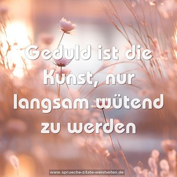 Geduld ist die Kunst, nur langsam wütend zu werden