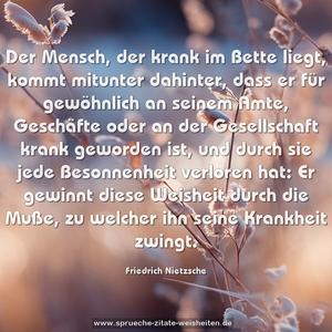 Der Mensch, der krank im Bette liegt, kommt mitunter dahinter, dass er für gewöhnlich an seinem Amte, Geschäfte oder an der Gesellschaft krank geworden ist, und durch sie jede Besonnenheit verloren hat: Er gewinnt diese Weisheit durch die Muße, zu welcher ihn seine Krankheit zwingt.