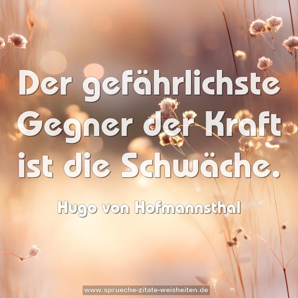 Der gefährlichste Gegner der Kraft ist die Schwäche.