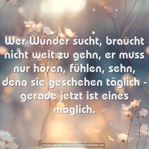 Wer Wunder sucht, braucht nicht weit zu gehn,
er muss nur hören, fühlen, sehn,
denn sie geschehen täglich - gerade jetzt ist eines möglich.