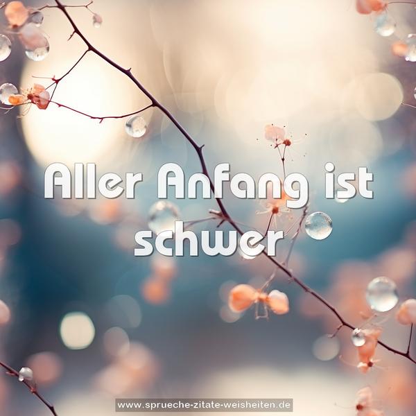 Aller Anfang ist schwer