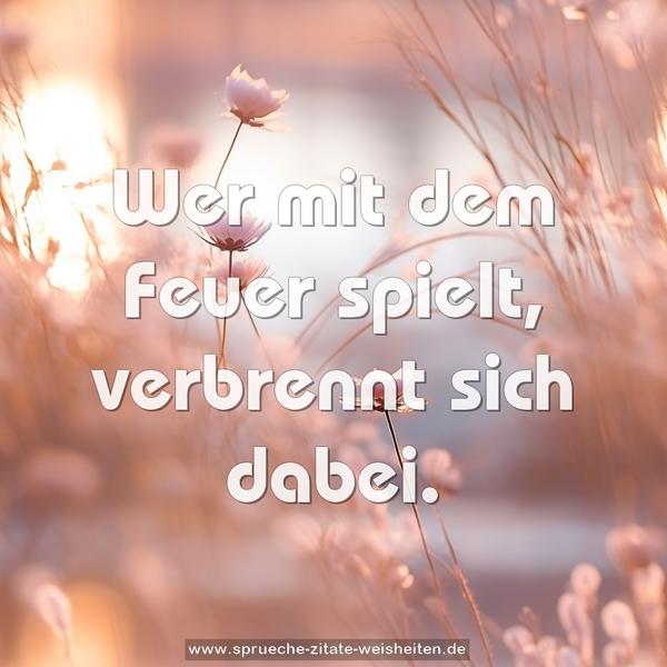 Wer mit dem Feuer spielt, verbrennt sich dabei.
