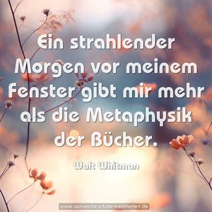 Ein strahlender Morgen vor meinem Fenster gibt mir mehr
als die Metaphysik der Bücher.