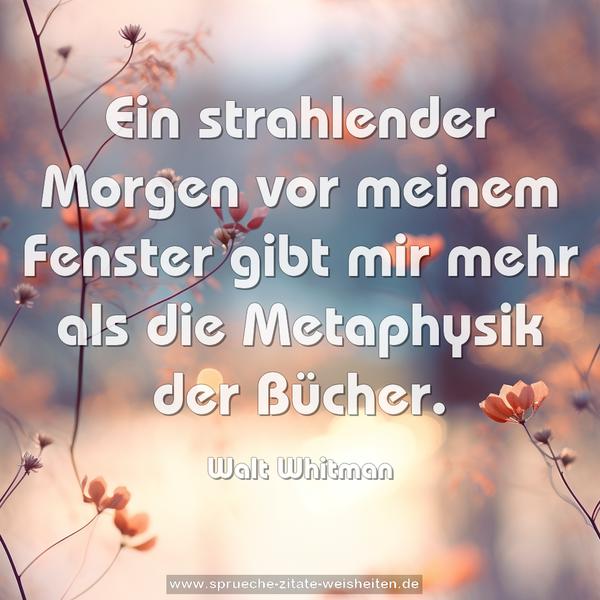 Ein strahlender Morgen vor meinem Fenster gibt mir mehr
als die Metaphysik der Bücher.