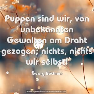 Puppen sind wir, von unbekannten Gewalten am Draht gezogen; nichts, nichts wir selbst!
