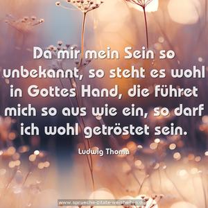 Da mir mein Sein so unbekannt,
so steht es wohl in Gottes Hand,
die führet mich so aus wie ein,
so darf ich wohl getröstet sein. 