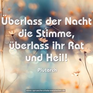 Überlass der Nacht die Stimme,
überlass ihr Rat und Heil!