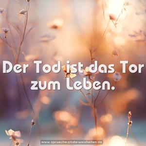 Der Tod ist das Tor zum Leben.