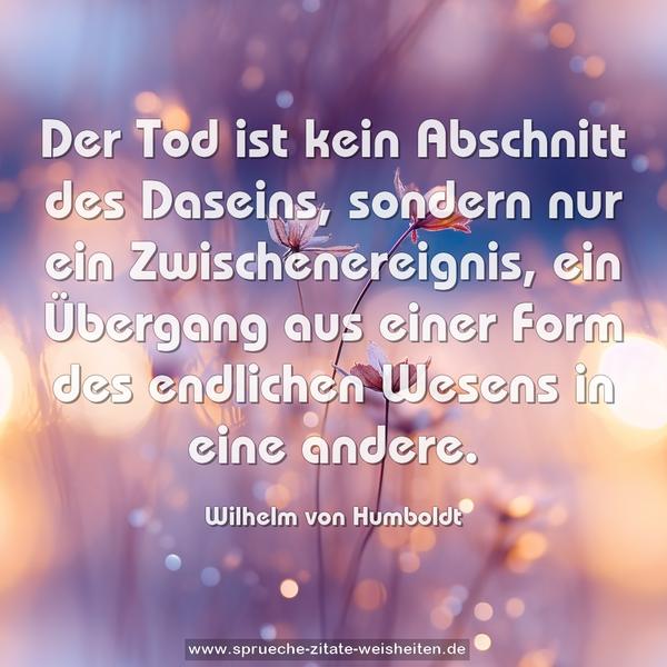 Der Tod ist kein Abschnitt des Daseins,
sondern nur ein Zwischenereignis, ein Übergang aus einer Form des endlichen Wesens in eine andere.