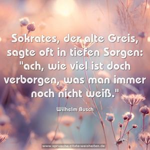 Sokrates, der alte Greis,
sagte oft in tiefen Sorgen:
"ach, wie viel ist doch verborgen,
was man immer noch nicht weiß."