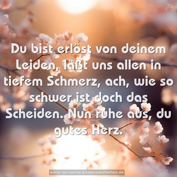 Du bist erlöst von deinem Leiden,
läßt uns allen in tiefem Schmerz,
ach, wie so schwer ist doch das Scheiden.
Nun ruhe aus, du gutes Herz.