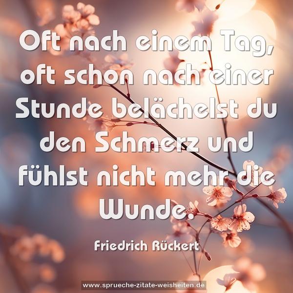 Oft nach einem Tag, oft schon nach einer Stunde
belächelst du den Schmerz und fühlst nicht mehr die Wunde.