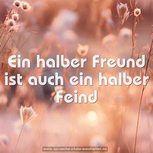 Ein halber Freund
ist auch ein halber Feind