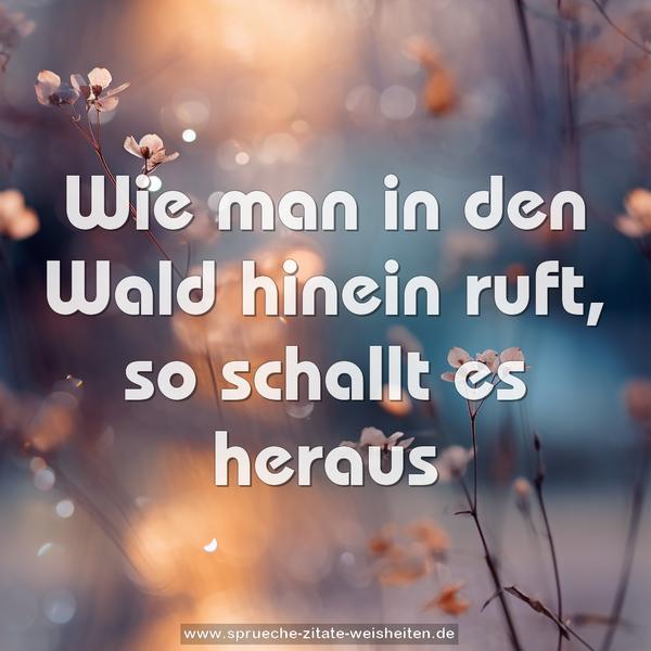 Wie man in den Wald hinein ruft,
so schallt es heraus