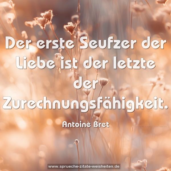 Der erste Seufzer der Liebe
ist der letzte der Zurechnungsfähigkeit.
