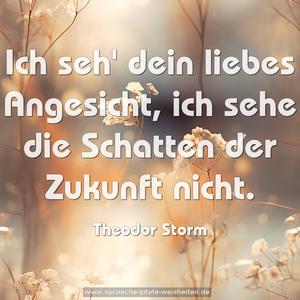 Ich seh' dein liebes Angesicht,
ich sehe die Schatten der Zukunft nicht.