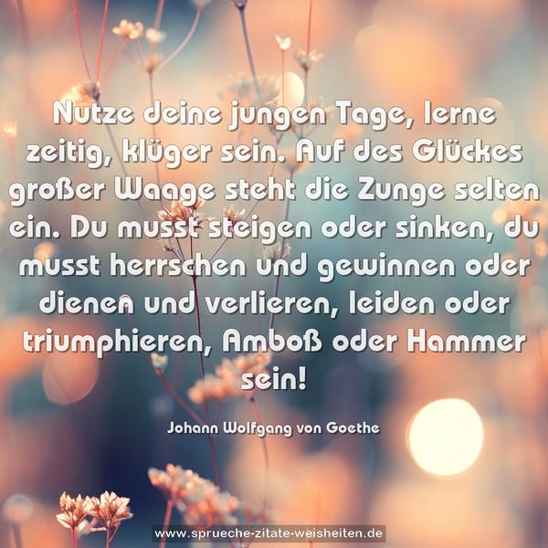 Nutze deine jungen Tage, lerne zeitig, klüger sein.
Auf des Glückes großer Waage steht die Zunge selten ein.
Du musst steigen oder sinken,
du musst herrschen und gewinnen oder dienen und verlieren,
leiden oder triumphieren,
Amboß oder Hammer sein!